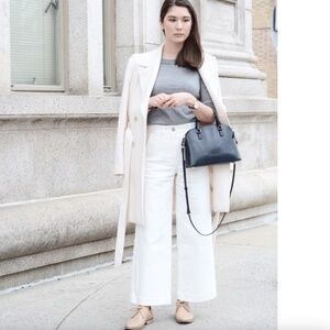 Everlane Wide Leg Crop Pant